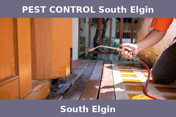 PEST CONTROL South Elgin